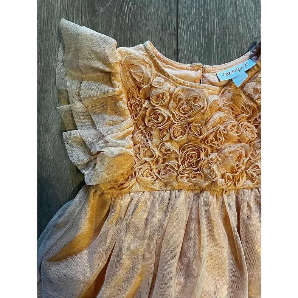 Cat & Jack Girls Size 3T Casual Dress Peach Pink Fir Flare Tulle Sleeve